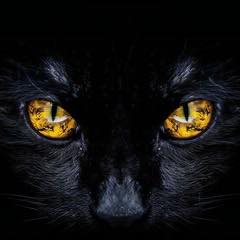 Kentucky Wildlife and Nature | Dawson Springs Kentucky | Facebook