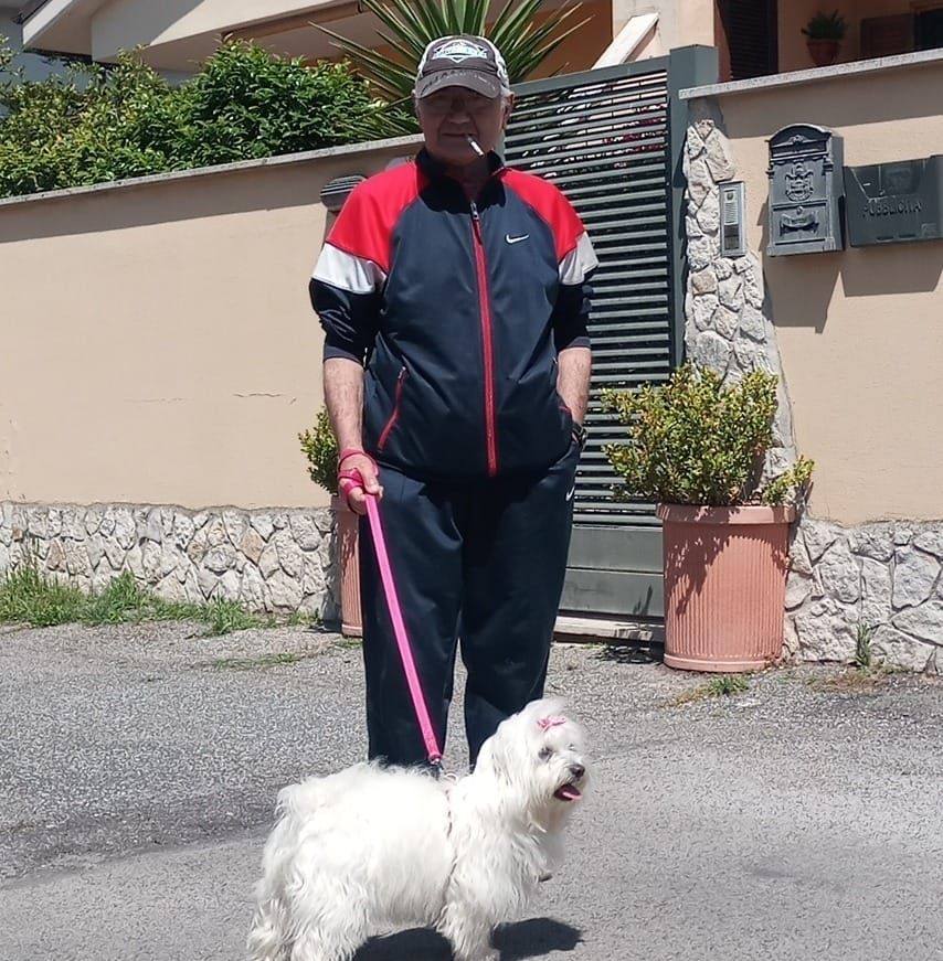 Schlein al campo largo: Uno non vale uno. Siamo primo partito d ...