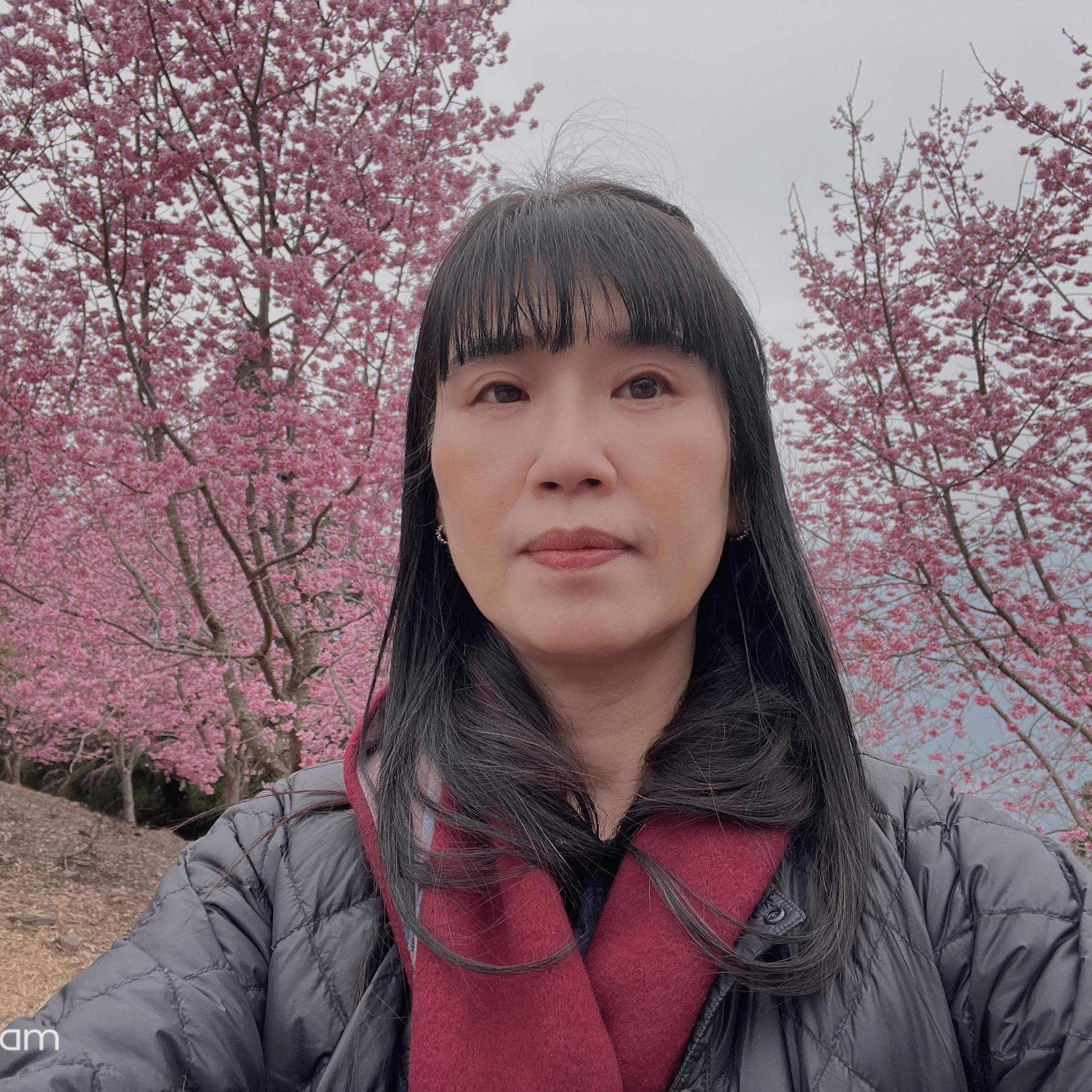 皮克敏🌼（Pikmin Bloom）台灣討論區 | 代購的皮克敏寶寶都回來了~ 這些是目前多買的現貨 現貨 現貨可以馬上出貨的 | Facebook