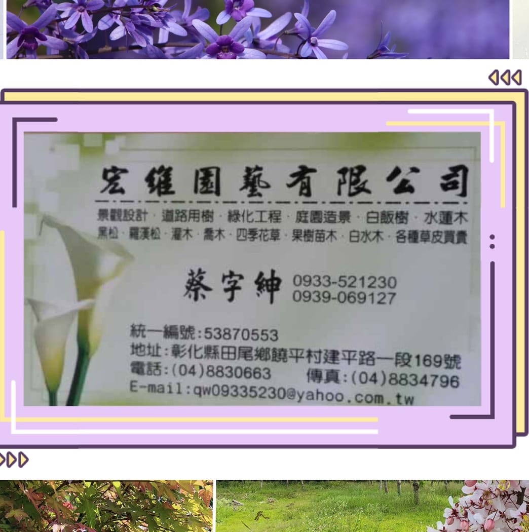 蔡字紳