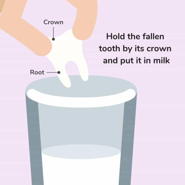 How to Treat a Knocked-Out Tooth.... - Lucho CPR & First Aid