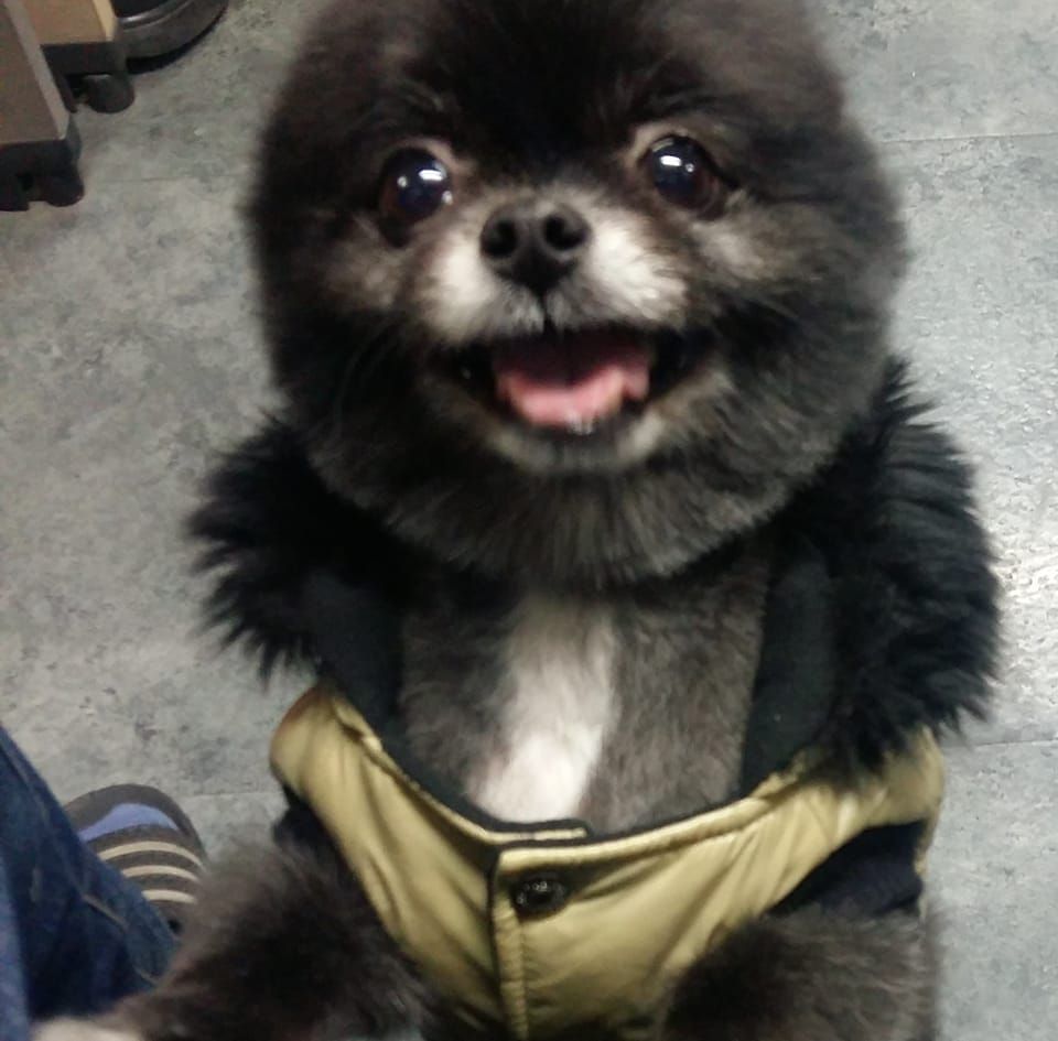 여러분, 냉동밥 절대 그냥 얼리지 마세요!😱 햇반은 비싸서 밥을 얼려 먹는데, 매번 데우면 푸석푸석해서 맛이 없더라고요. 근데 ...