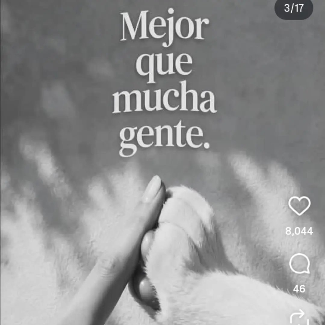 La nueva medicina del doctor Ryke Geerd Hamer | Como se identifica la ...