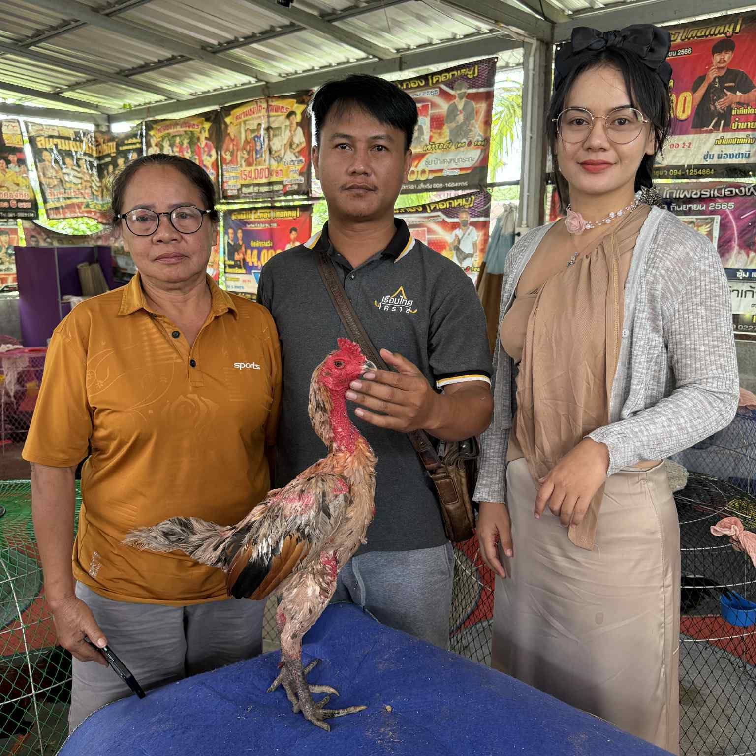 African Harrier- Hawk #africanharrierhawk #falconer #falconry | พี่ต้อม ...