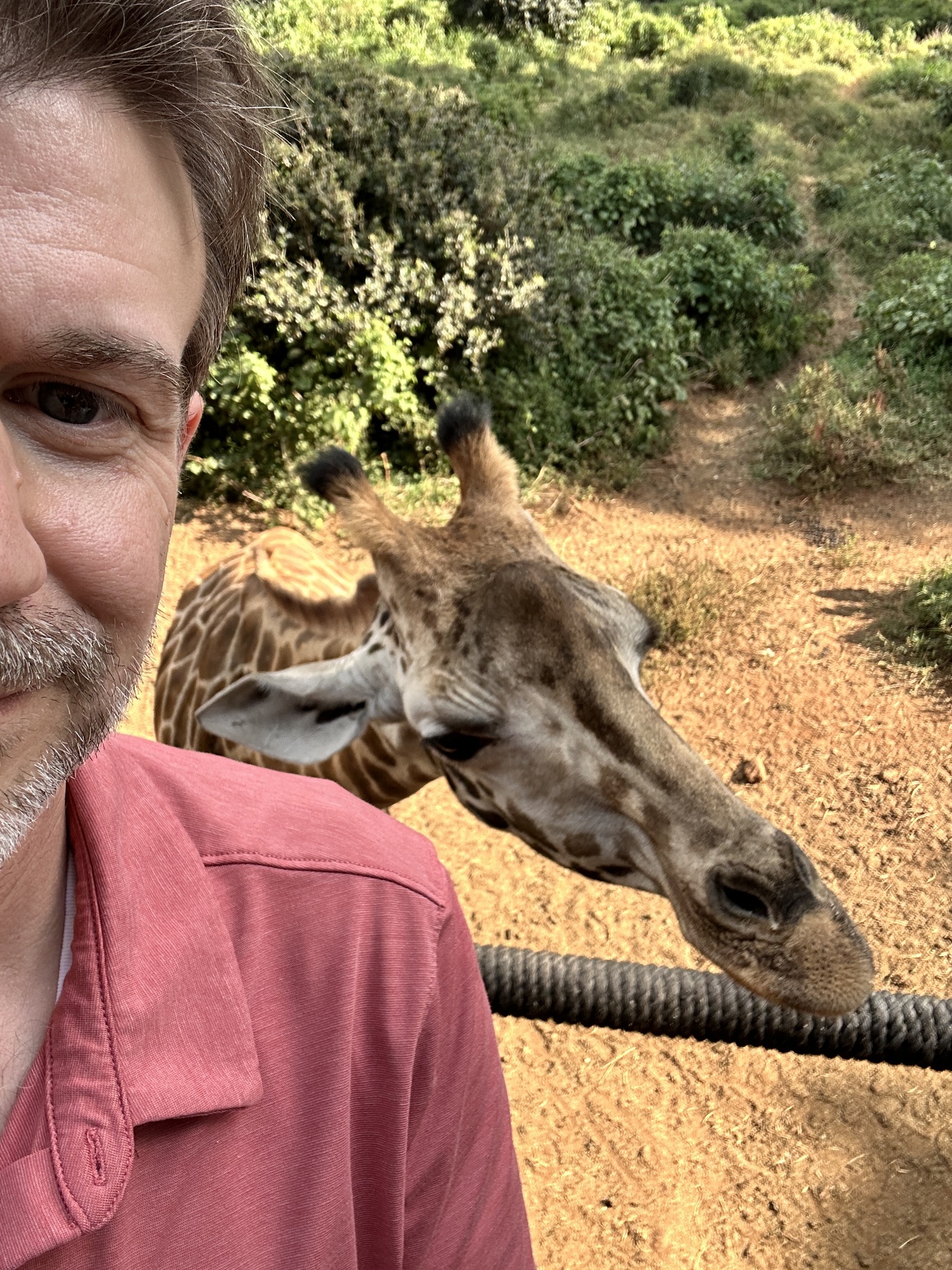 Vintage 90’s Lego Technic | Saw a few had this set, dragged mine out of ...