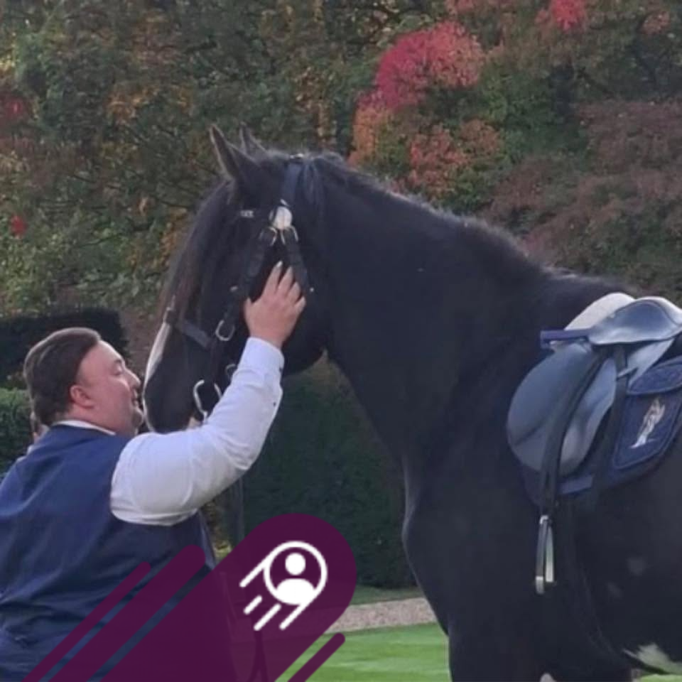 Horse Source Benalla/Wangaratta | Hi all! I am chasing someone for some ...