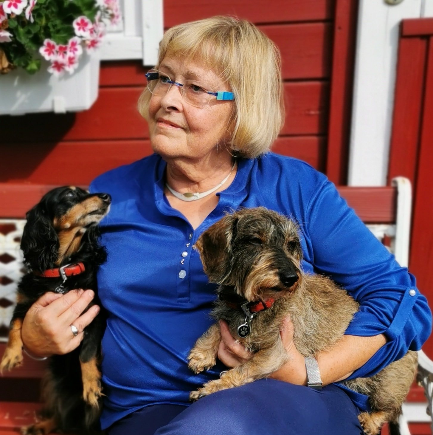 Wellensittiche | Hallo, ich würde mich über eure Hilfe freuen der gelbe ...