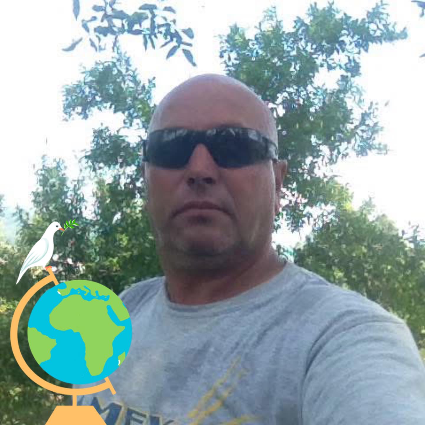 Rrushi Arti
