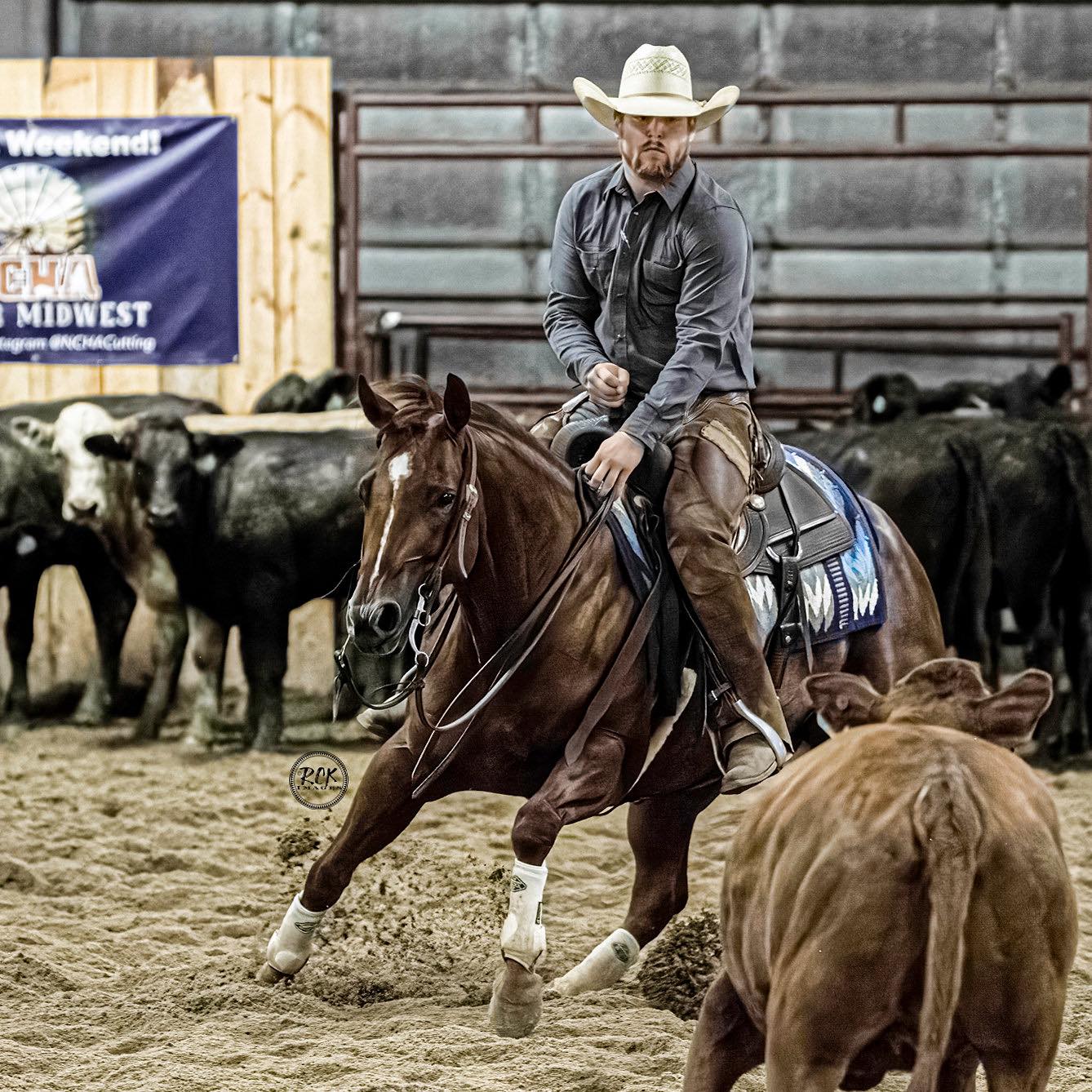 Cutting Horses And Cutting Horse Prospects Only | ISO 2 or 3 yr old ...