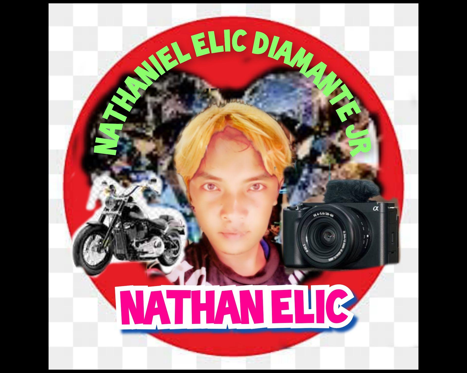 Nathan Elic - paldo ng ceres bus pasahero gikan sa barko... | Facebook