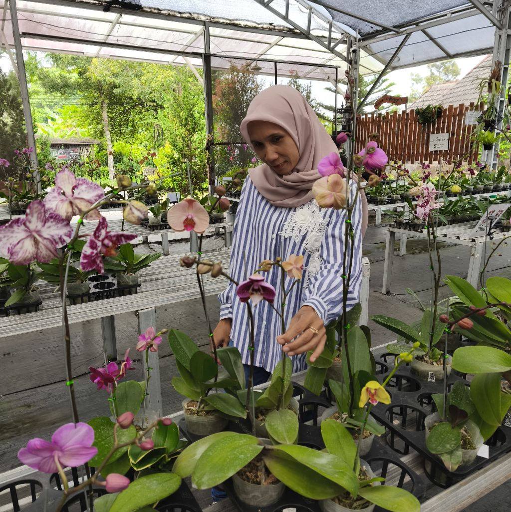 Buat para suhu bougenville, mohon pencerahannya ya.. Apakah ini normal ...