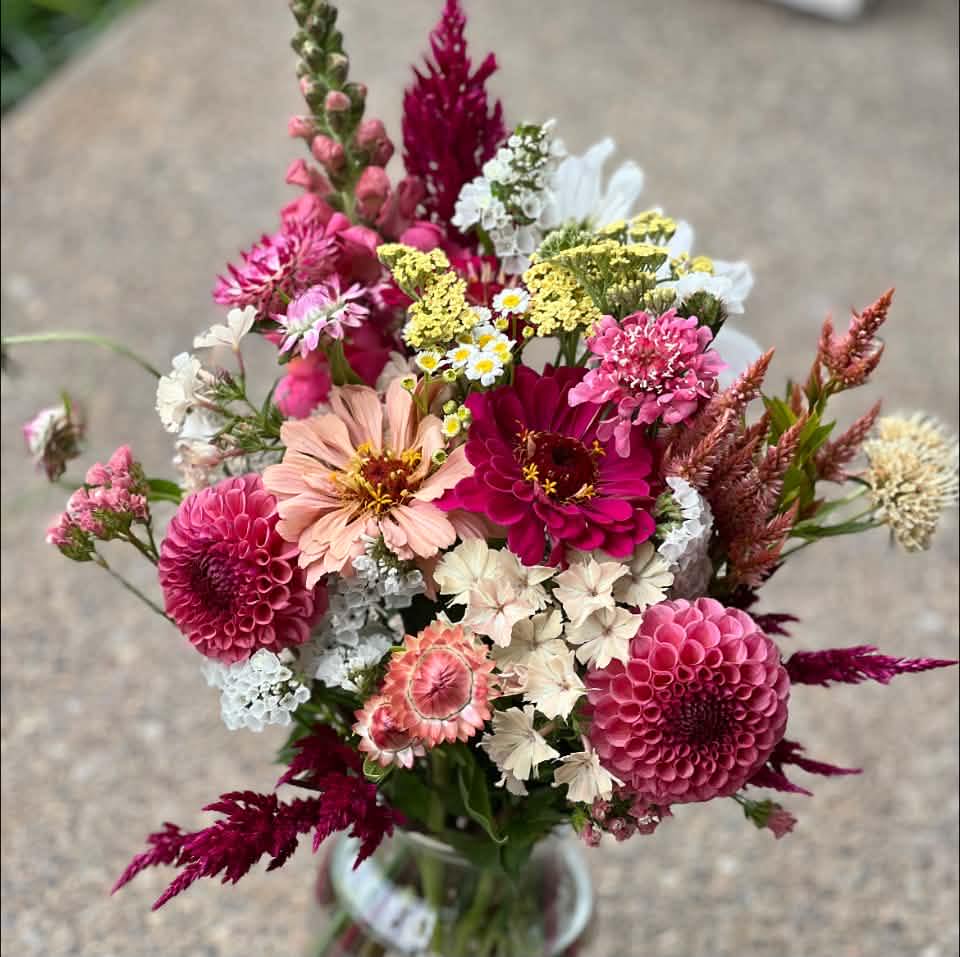 Fall Tubers | Facebook