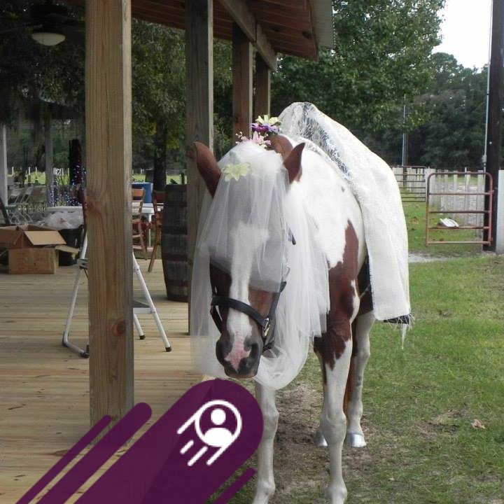 Oetgen Ranch