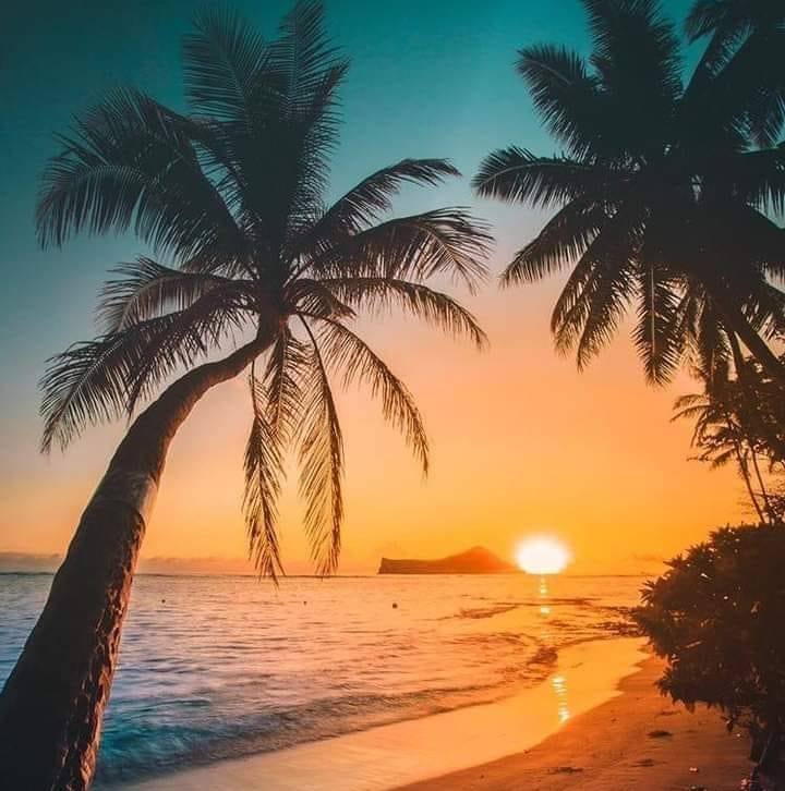 I love Fort Myers Beach, Florida | Looking for recommendations on or ...