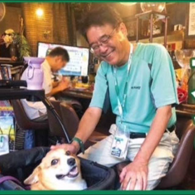 中野ファン | 森泉さん、嫁ぎ先のコマーシャルしてましたね | Facebook