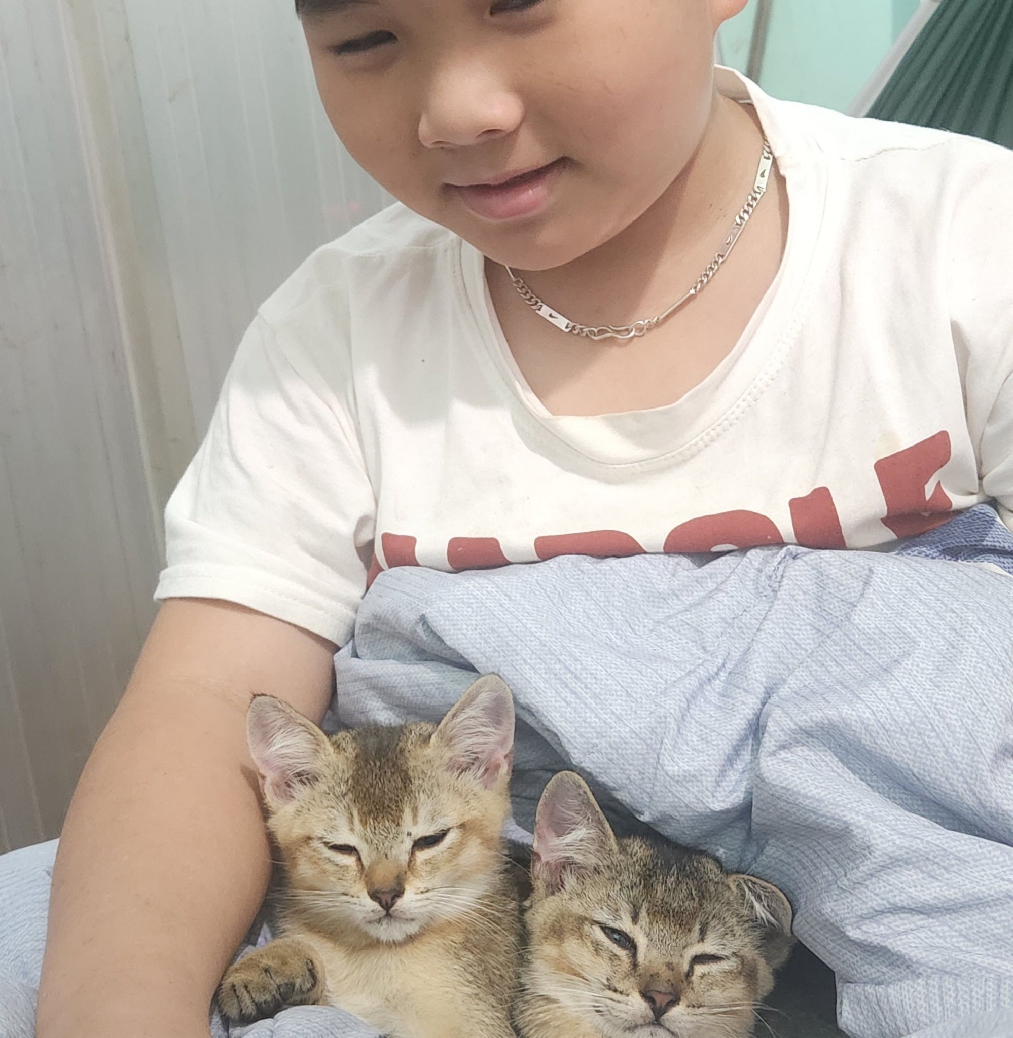 Bông - “Tôi đã ký xong đơn ly h:ôn rồi. Cô xem thử còn cần bổ sung gì ...