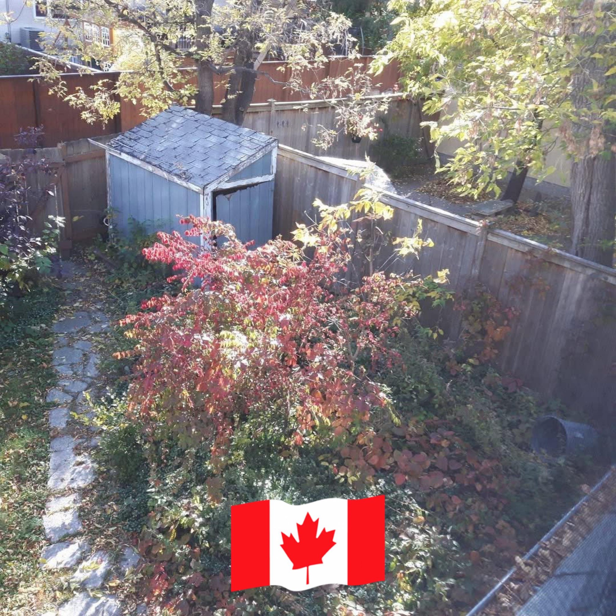 Bronte Village neighbours helping neighbours | Bronte Harbour from ...