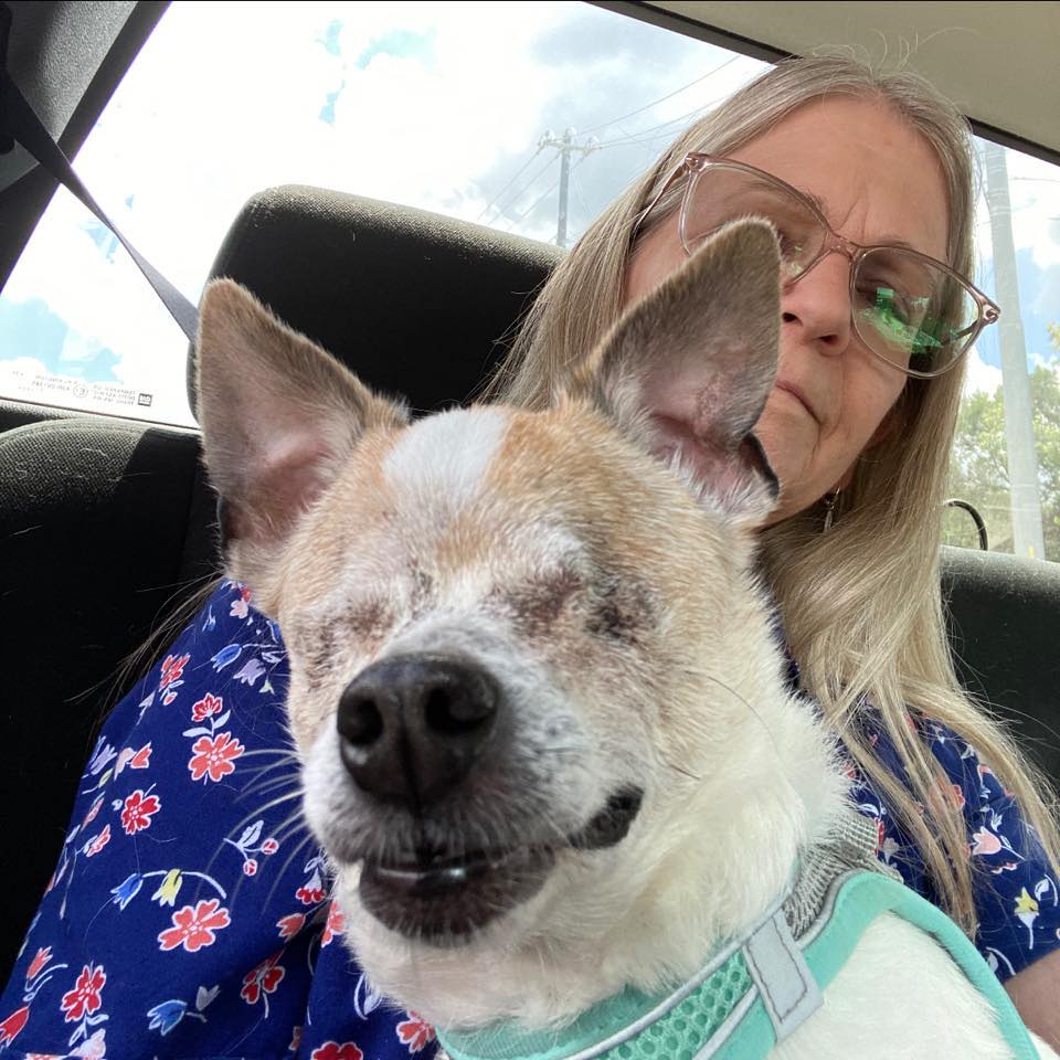 This week is National Animal Control Week, and we’re highlighting our ...