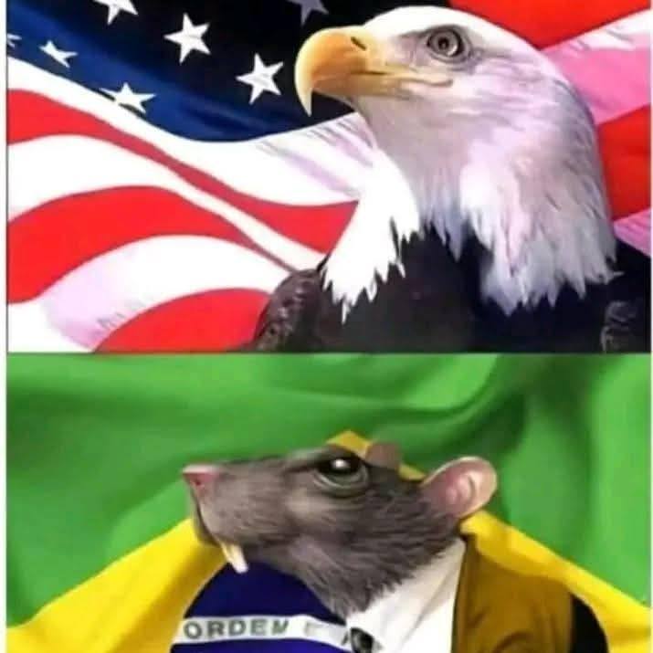 Meu dia 13/10 meu OUTUBRO 🩷 | Elisangela Garcia Teles