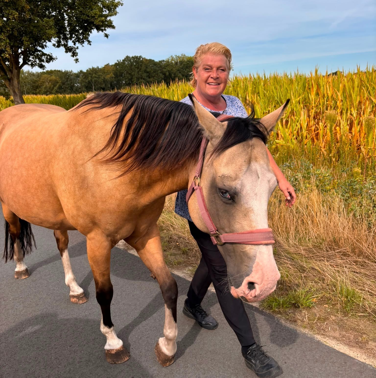 De Bondgenoten News & Update 👉 | Schandal in De Bondgenoten: Dylan ...