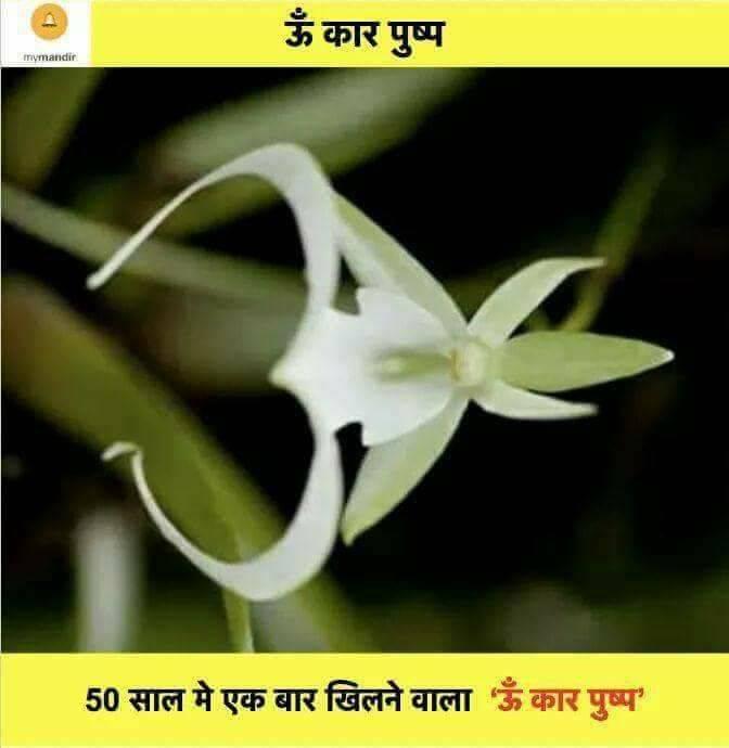 शासकीय कर्मचाऱ्यांच्या विभागीय चौकशीवर आता 'DE MODULE' द्वारे थेट नजर ...