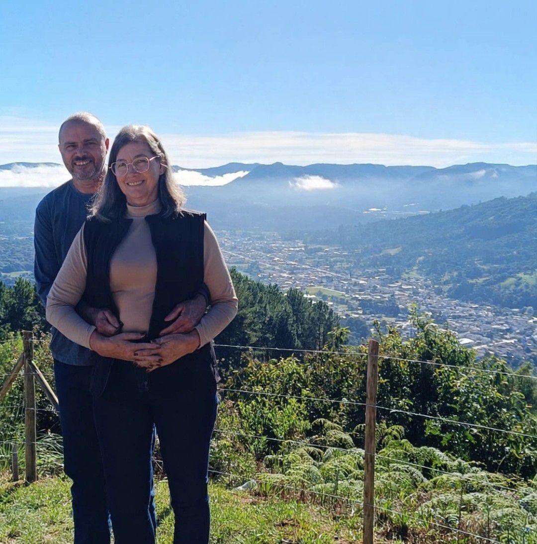 Árvore, Ser Tecnológico - Os fungos embaixo da terra formam uma rede ...