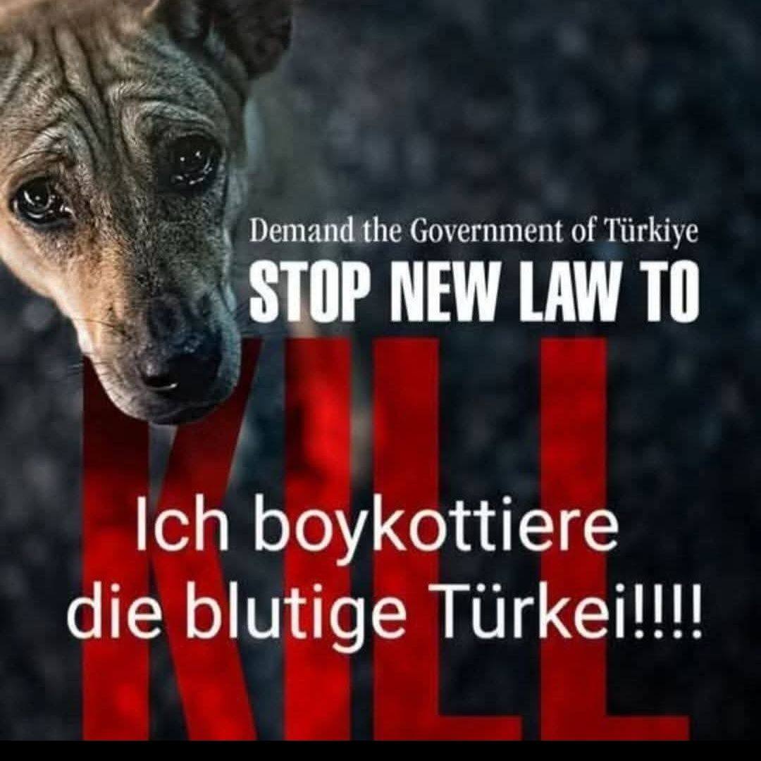 Nömä Fanki - Es ist nie der richtige Zeitpunkt, es ist nie... | Facebook