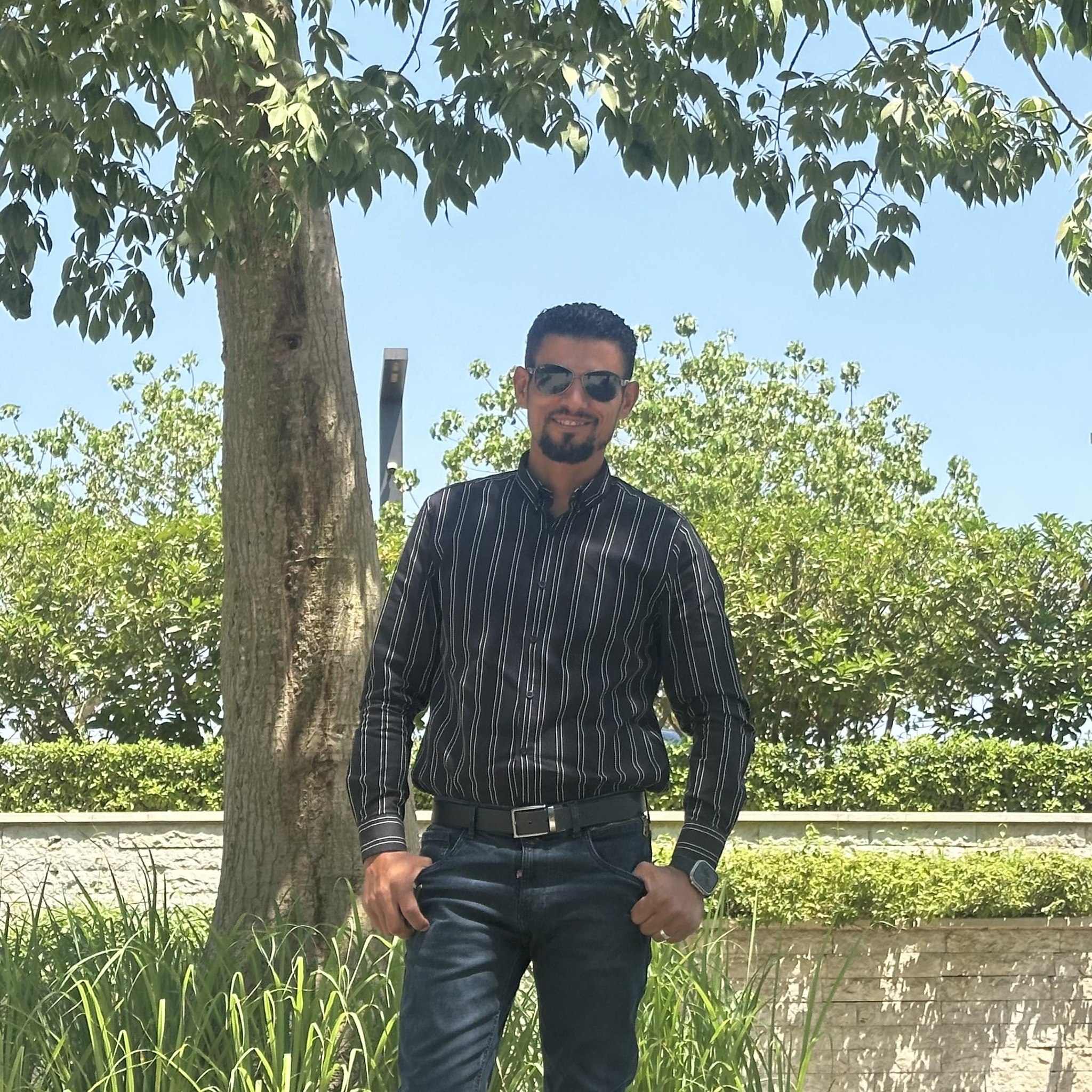 Eng-sayed Safan