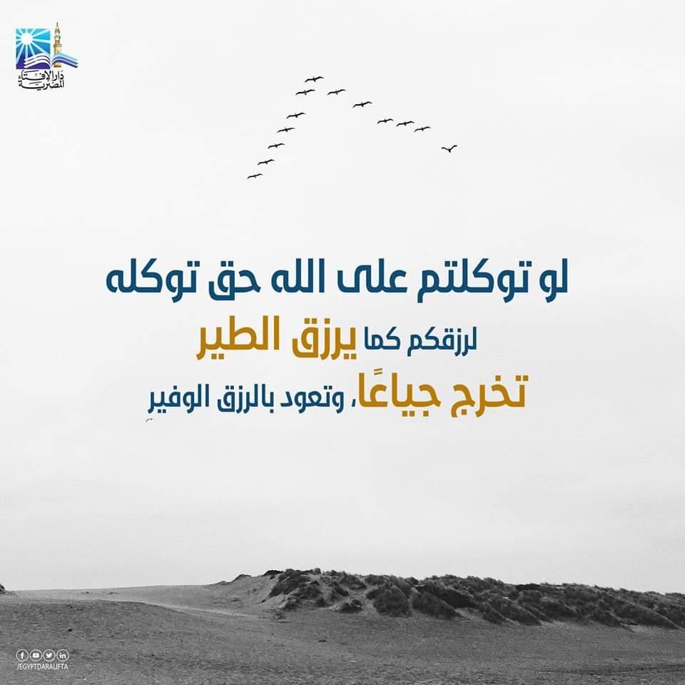 mohamed-elswah-on-reels