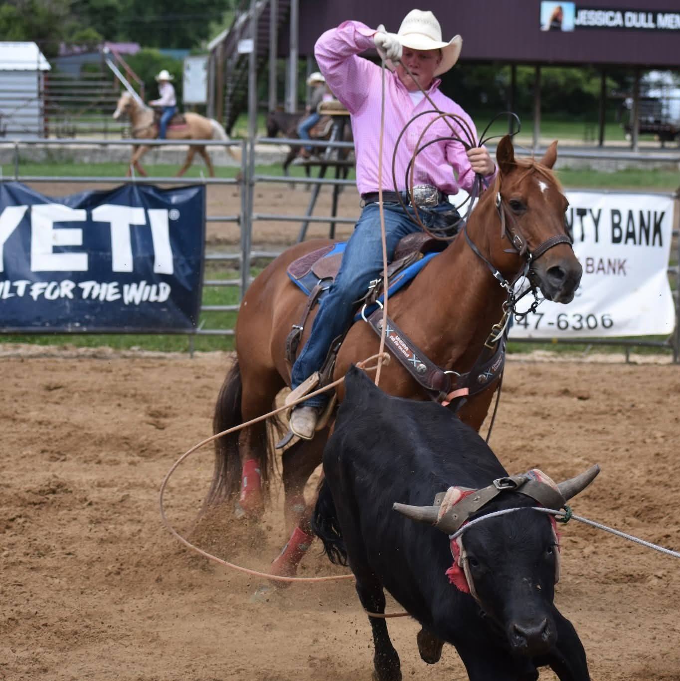 Rope Horses, Rodeo Horses, and Ranch Horses | Good young registered 3 ...