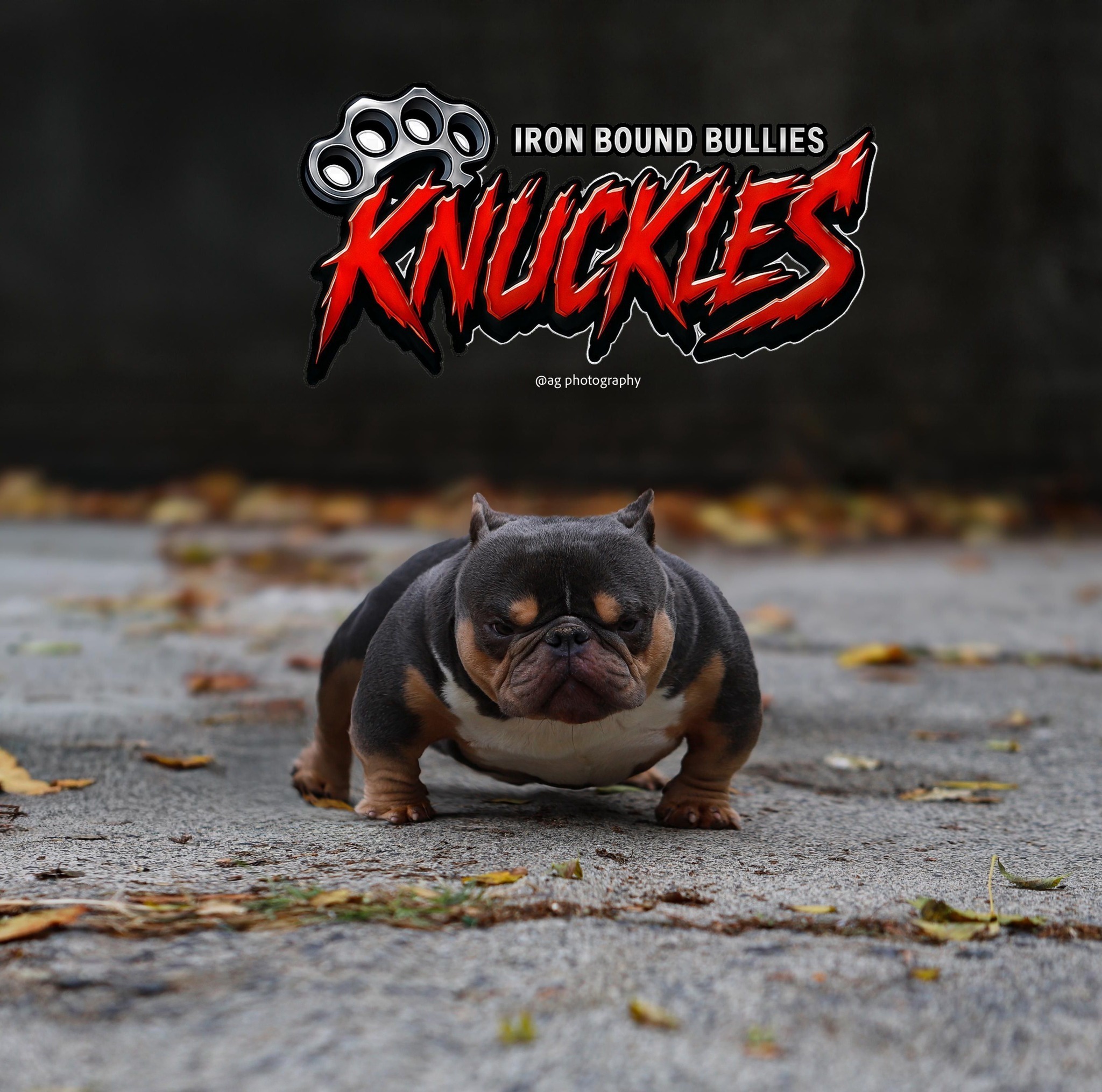 👊 KNUCKLES IN MOTION 🔥 Every step comes with presence. Watch him work ...