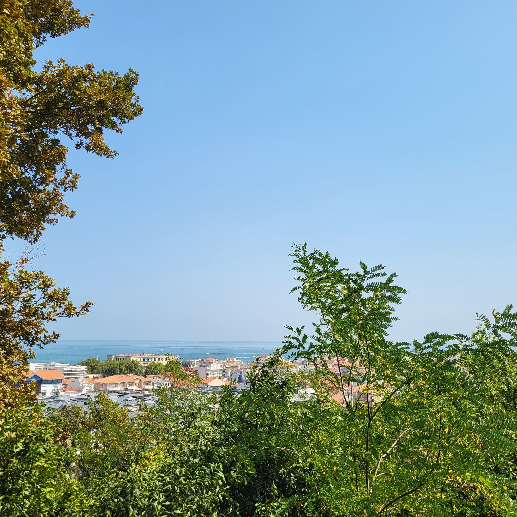 Chapters - New Chapters coming out tomorrow! 😍 💞Twisted Love A birthday ...
