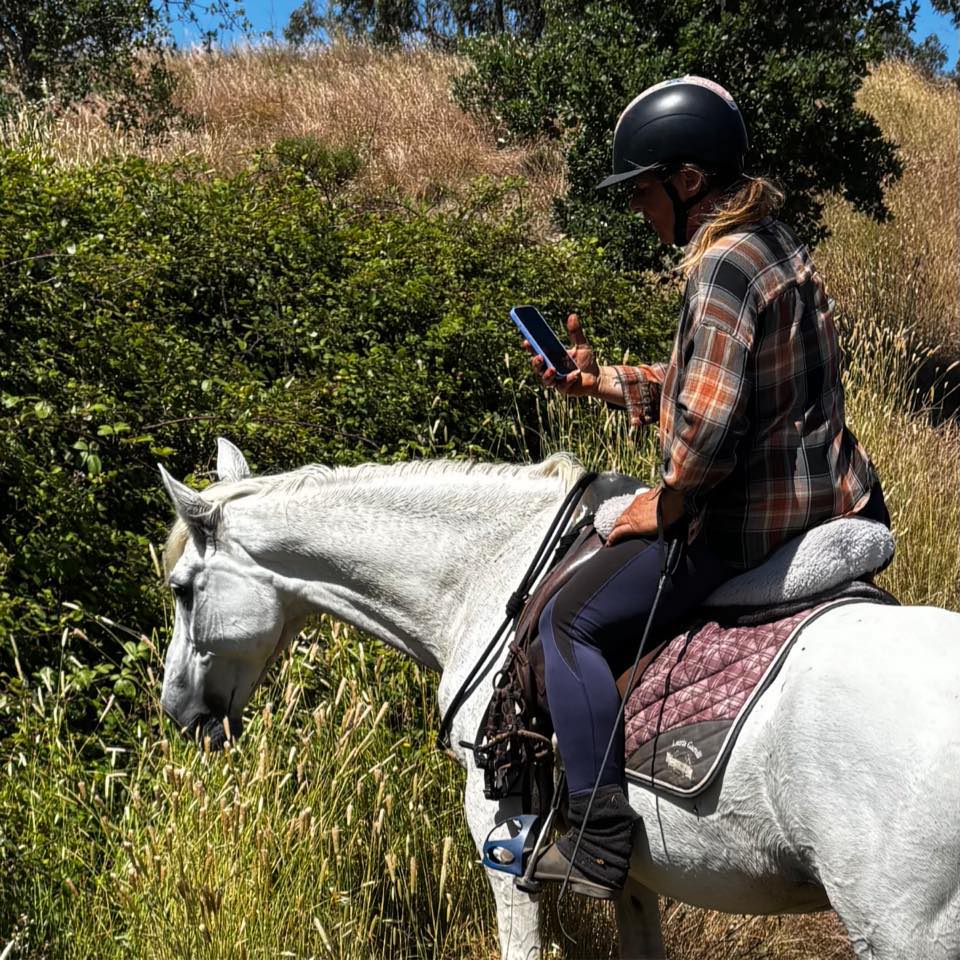 Anything Animal Algarve | These horse’s in Odiaxere have absolutely no ...