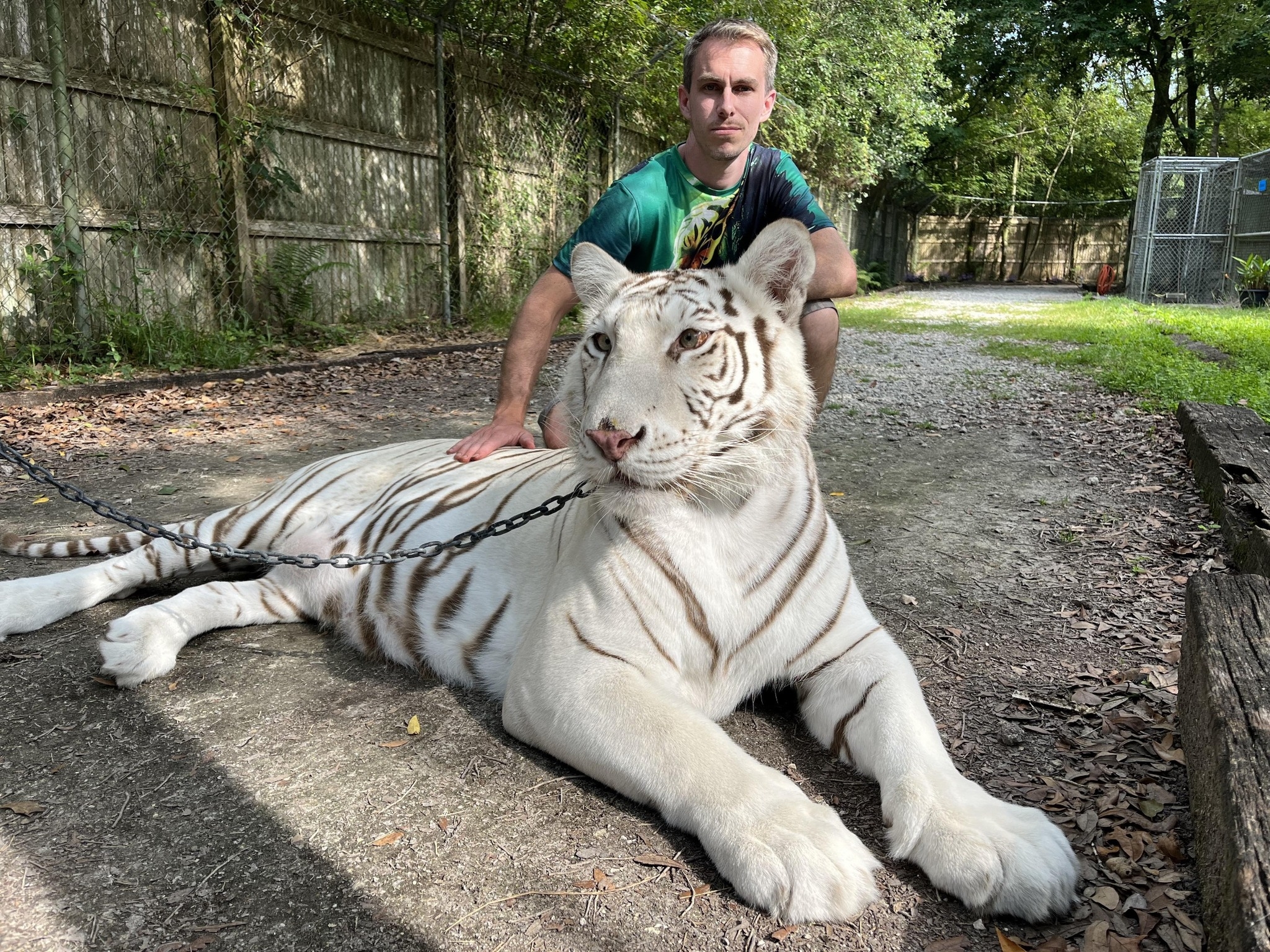 With all the water finally receding, Hatari can roll around without ...
