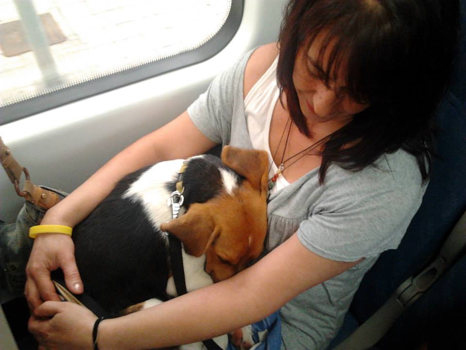 La paz de una familia unida | Amor por los animales