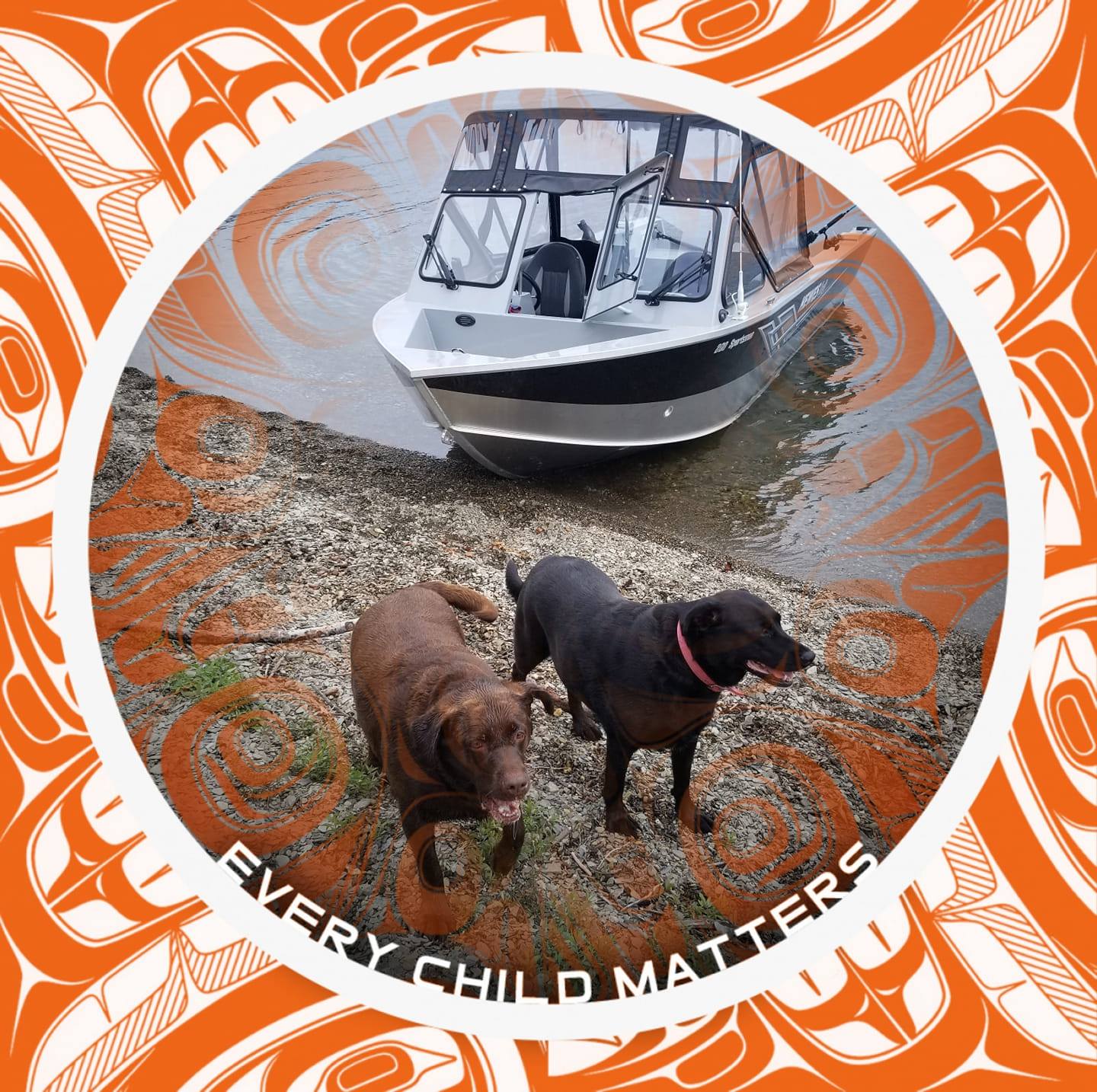 Sarah Hohner - ***Found a place for all the animals! Thank... | Facebook