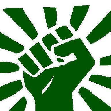 Meowko on Reels