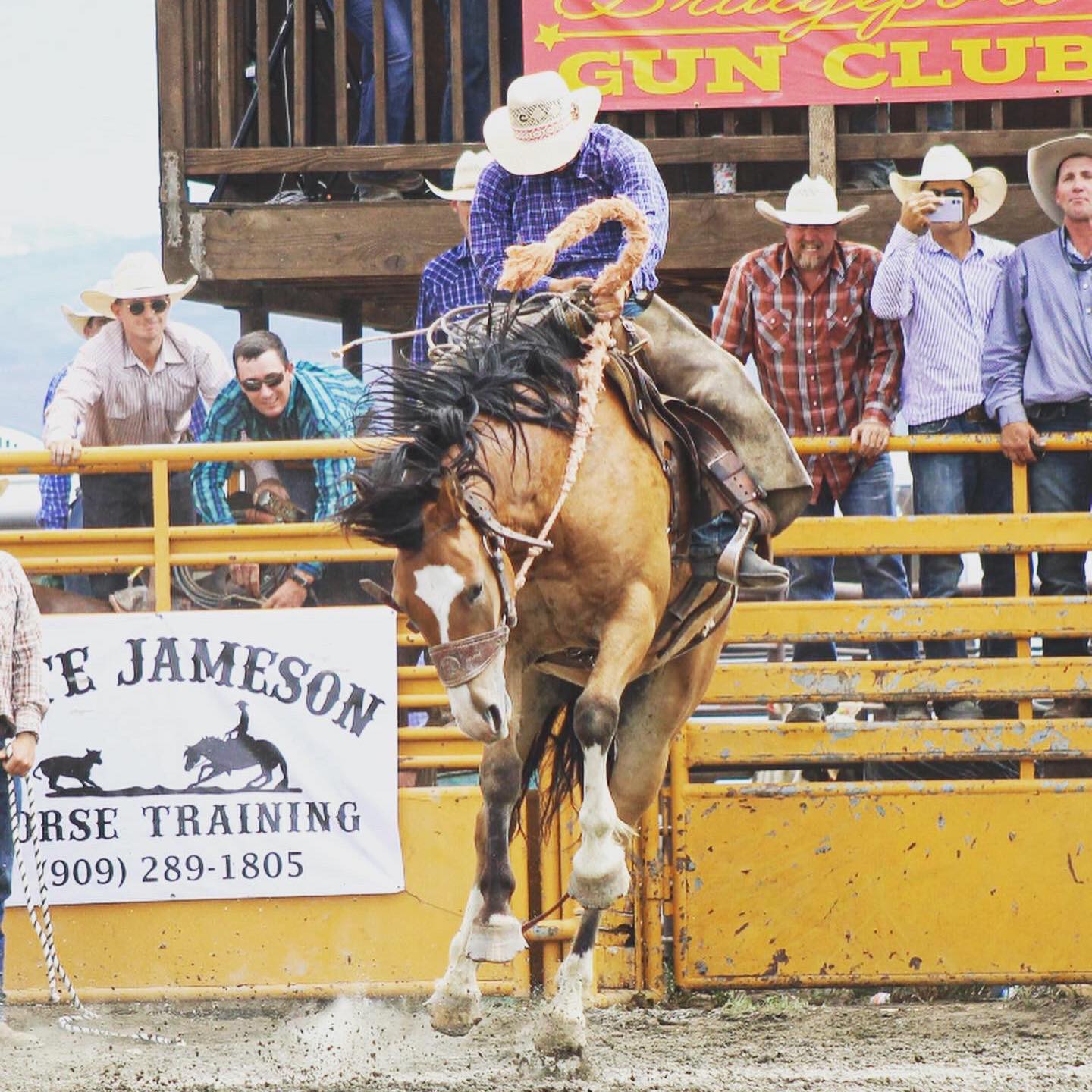 “RJ” working both ends in the branding pen. A well-started ranch horse ...