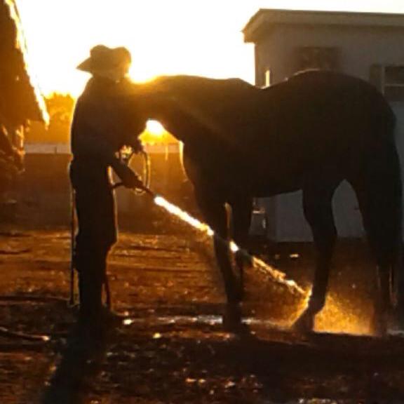 Running H Ranch