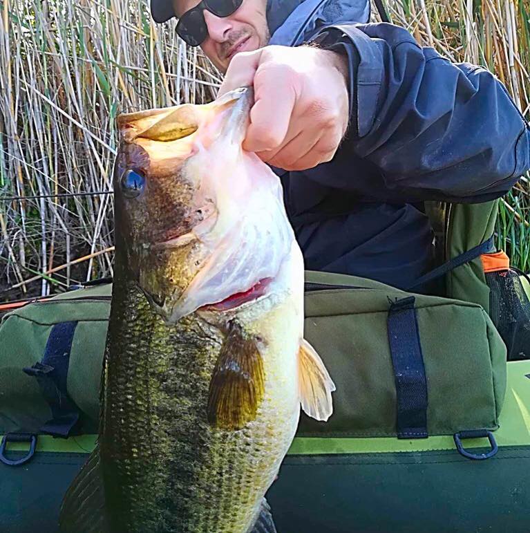 Ignorant Fishing