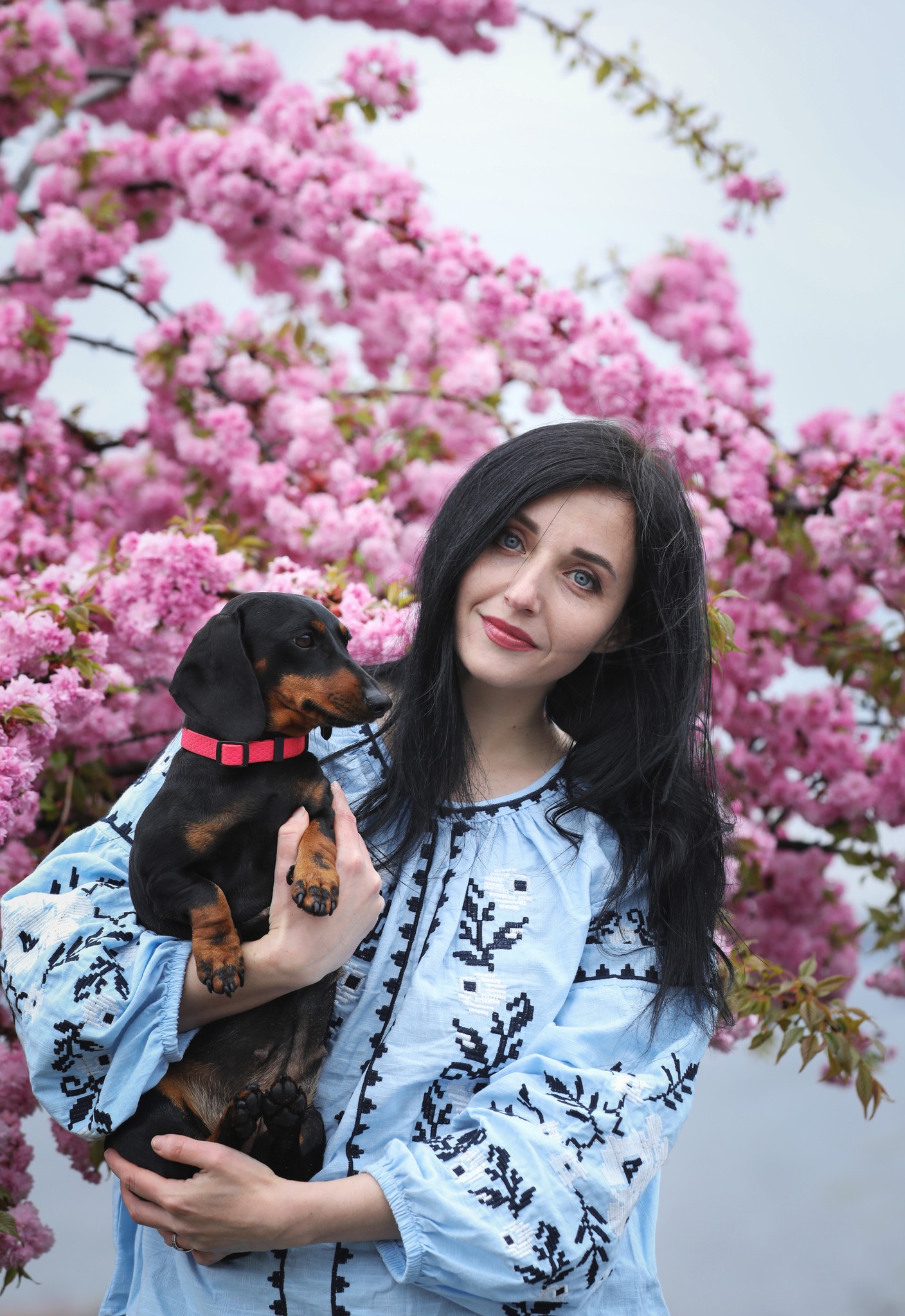 FCI Dachshunds owners & breeders | 📩📍Italy | Facebook