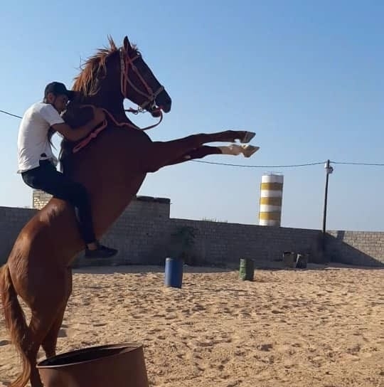 Mahmoud Jetlawi - إنا لله وإنا إليه راجعون.. انتقلت الى... | Facebook