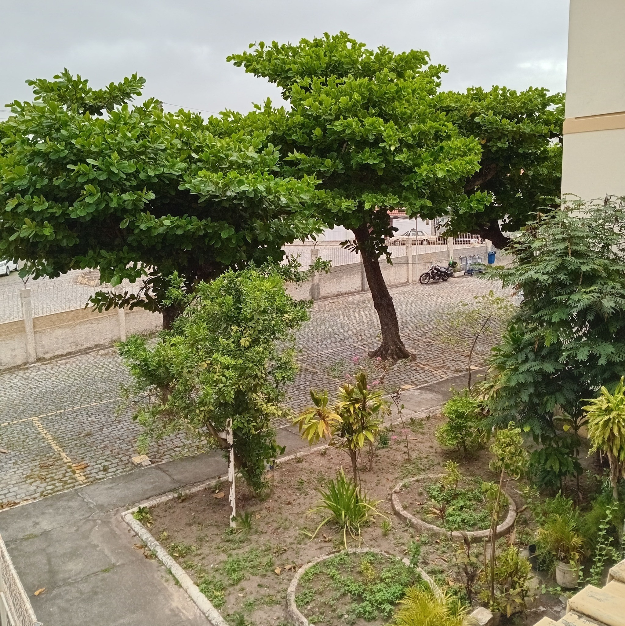#asmarias #maria #floflo #lindezas #soufã | Maria Lucia Almeida