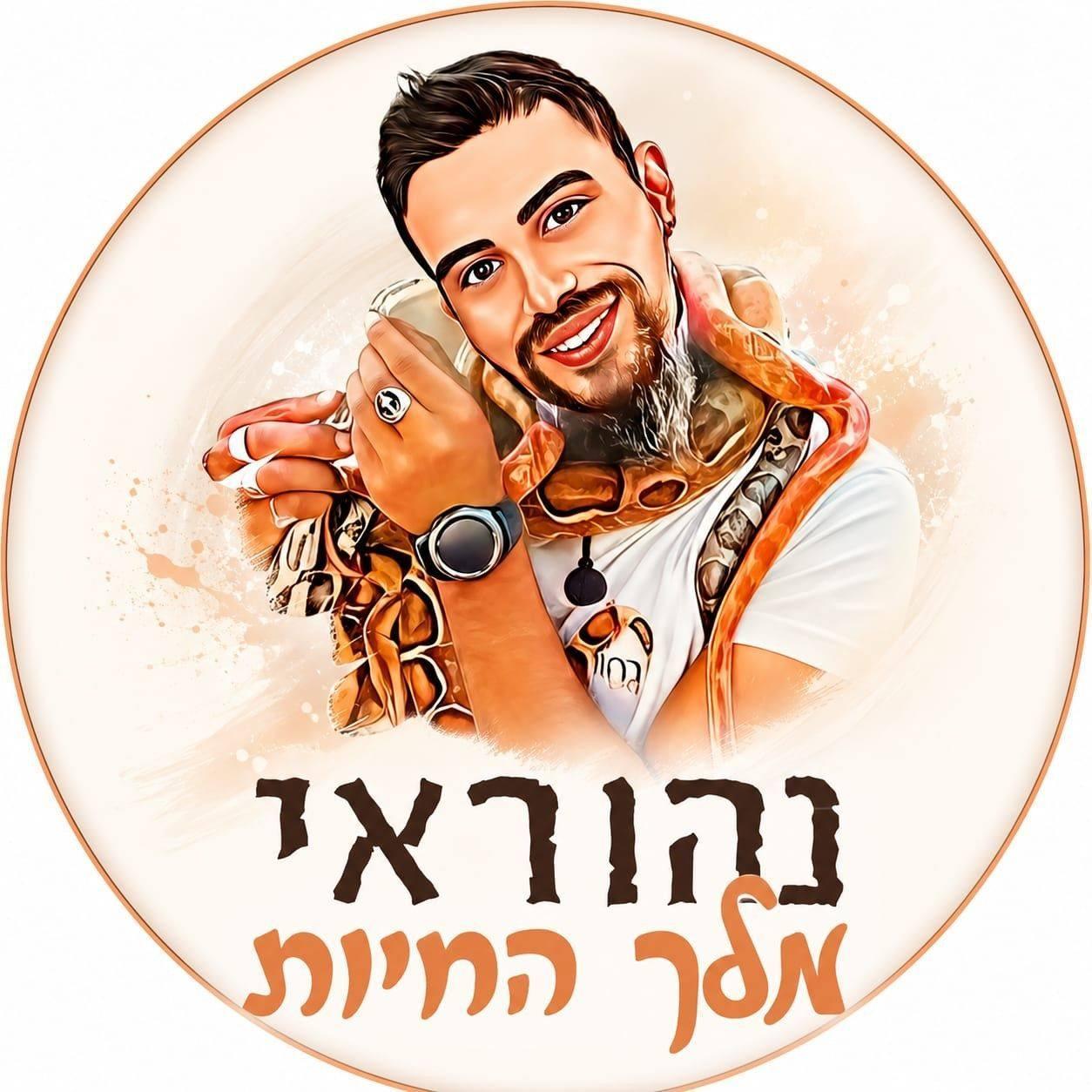 חינמי - בנתיים ממה שיצא לי לראות הארזים תרצה שלקה דמיות כפיות עדין אין ...