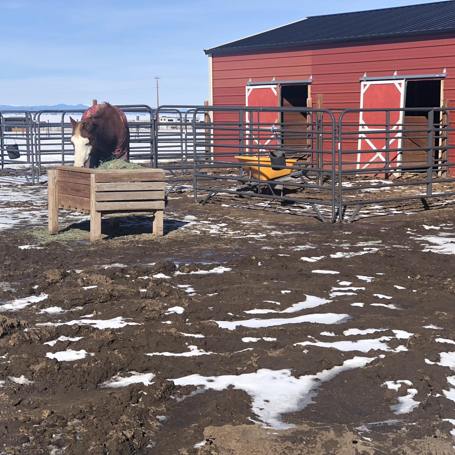 Double Beam Ranch - Hay, Feed, & Shavings | Elizabeth CO