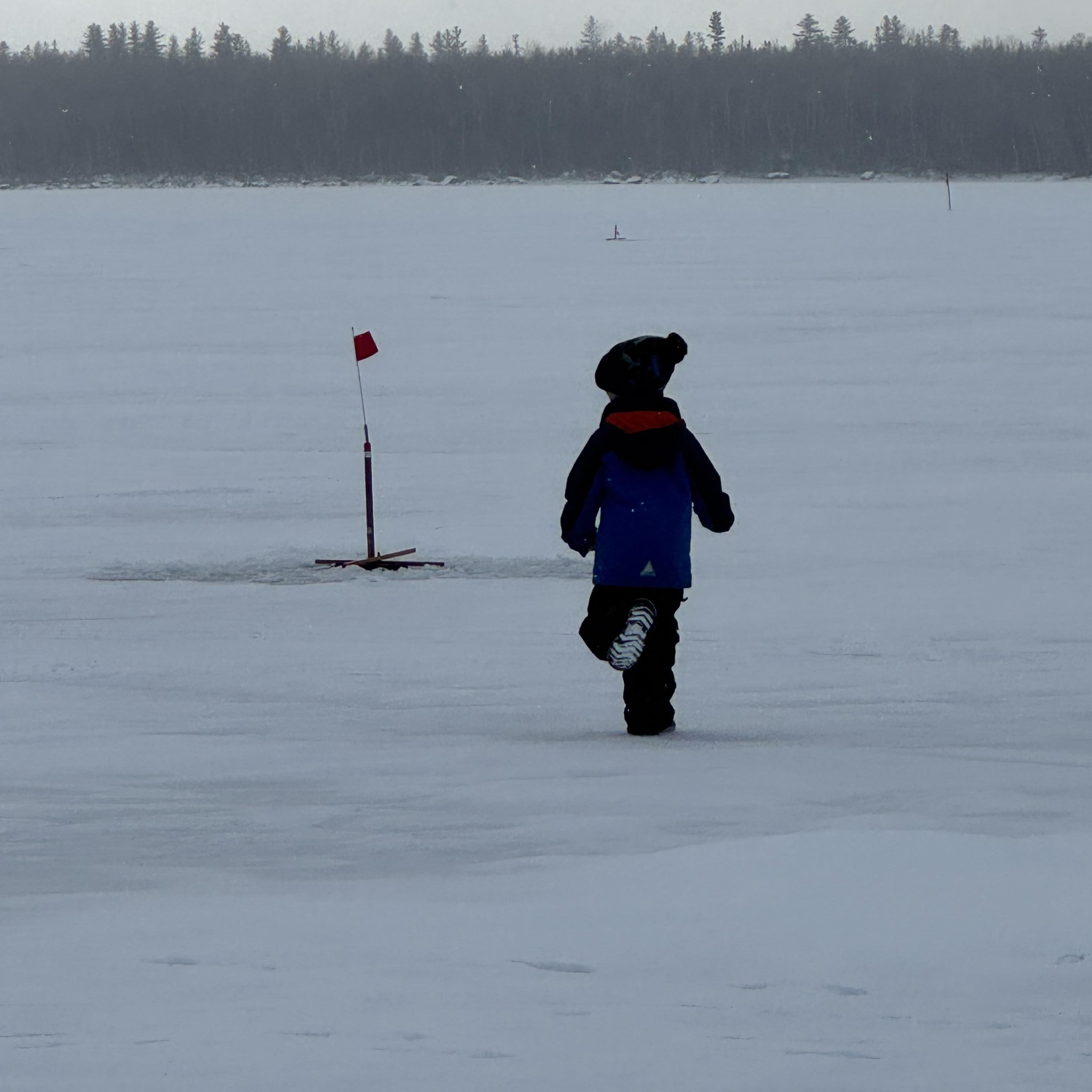 Article — Do Anglers Using Forward-Facing Sonar Catch More Fish? A ...