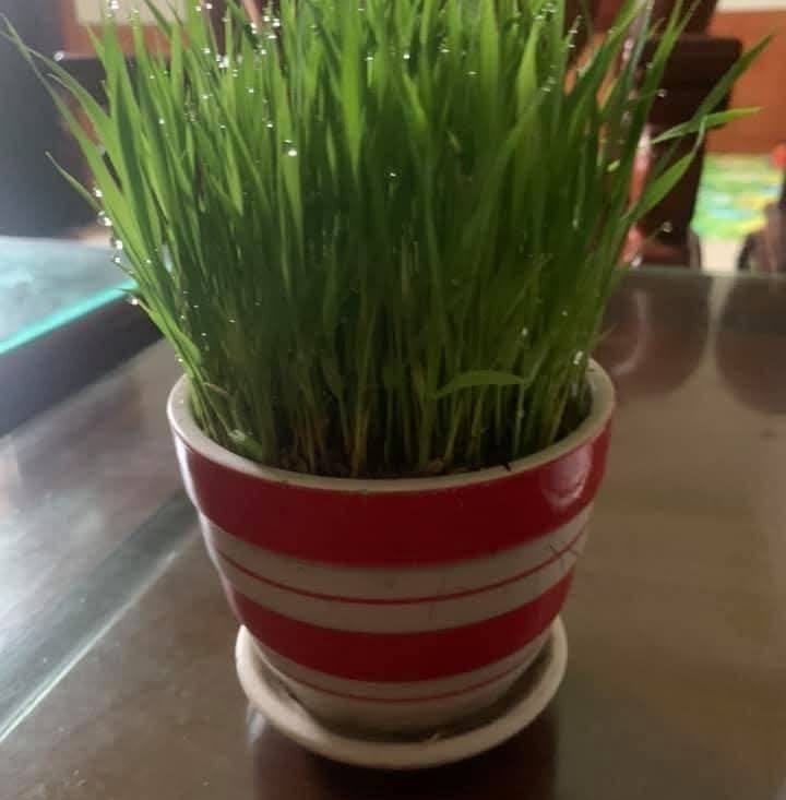 https://s.shopee.vn/an_redir?origin_link=https%3A%2F%2Fshopee.vn ...