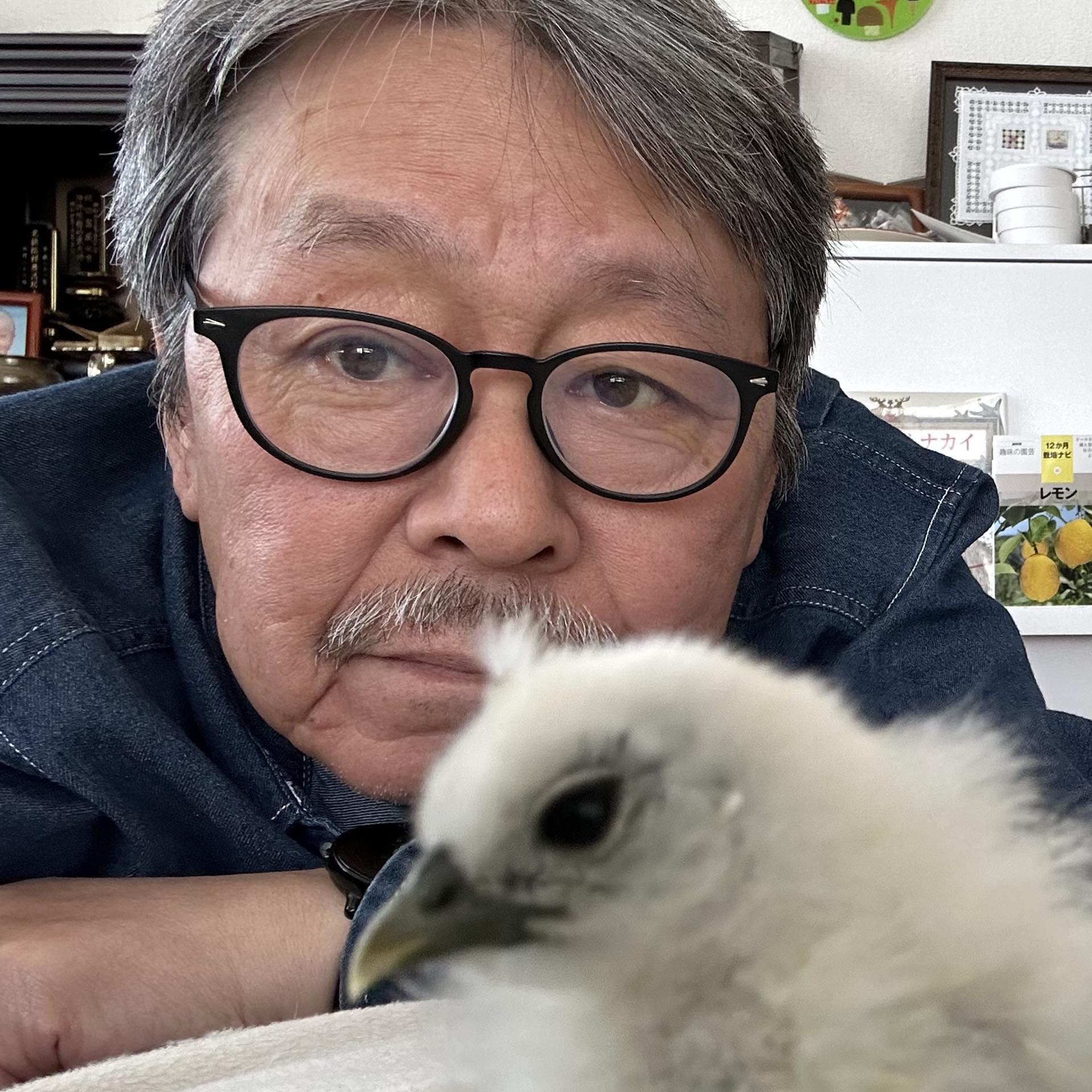 日本の野鳥写真館 | 飛ぶ鳥をピタリと撮れるスキルは無いです | Facebook