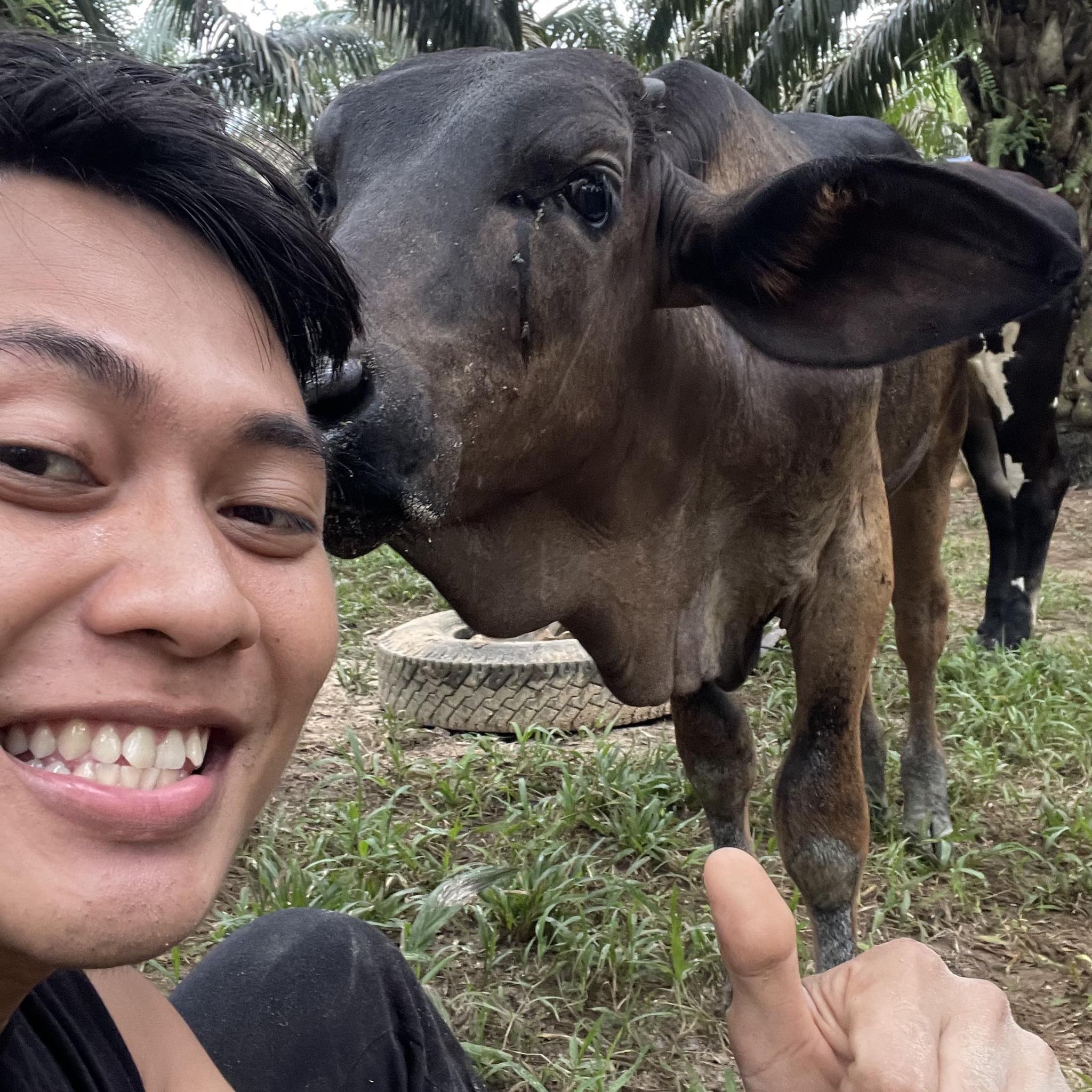 Raimundus Rivaldo Tagur