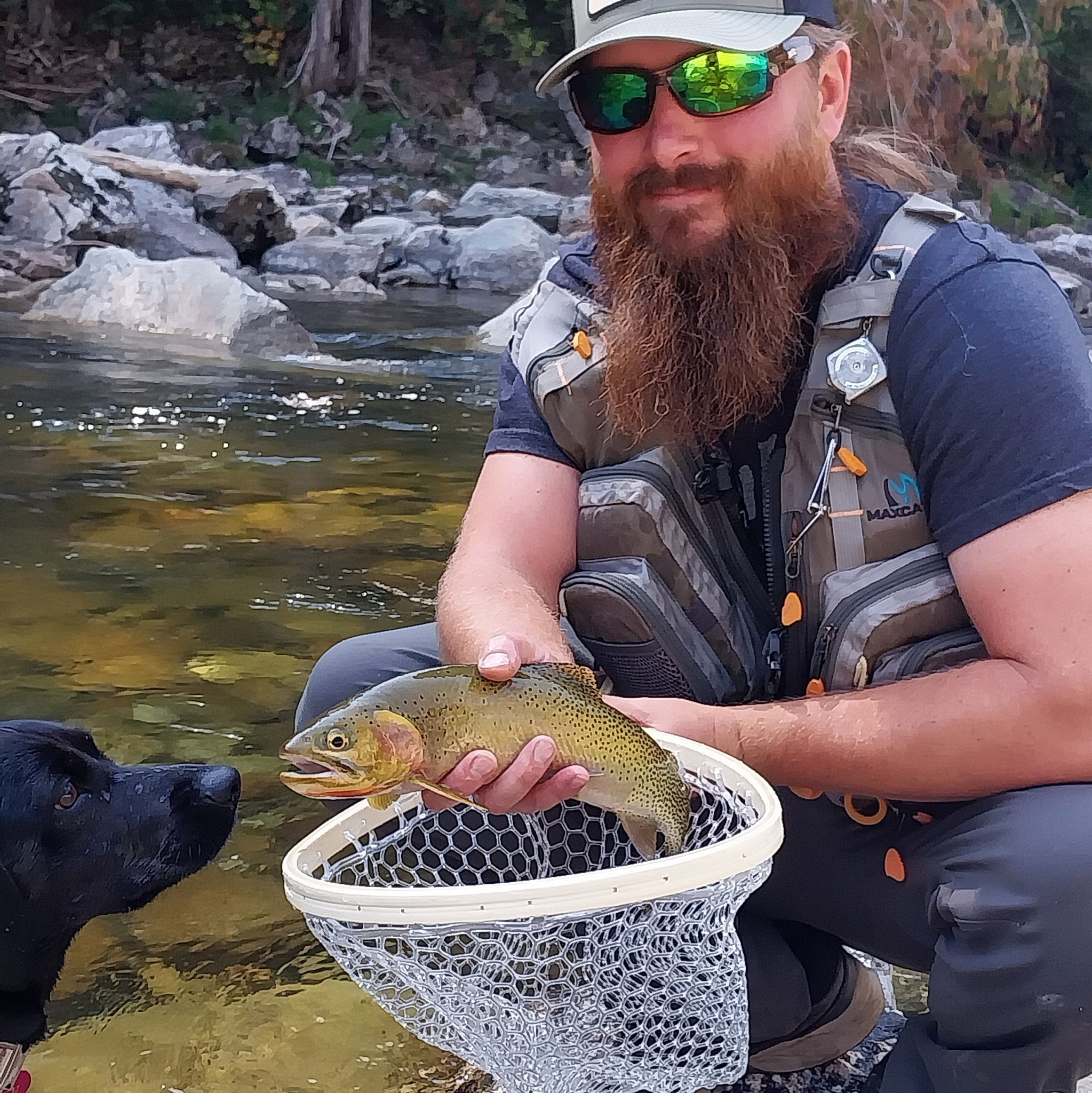 Panfish On The Fly | Last year, picked up two brand new Maxcatch Unic ...